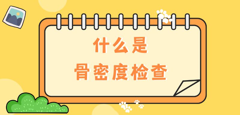 【雙能x線骨密度儀】什么是骨密度檢查？該怎么查？